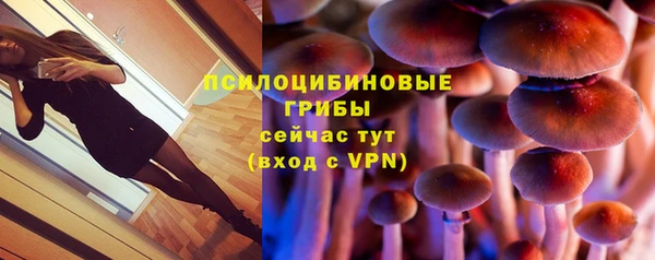 прущая мука Магас