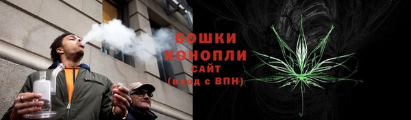 прущая мука Магас