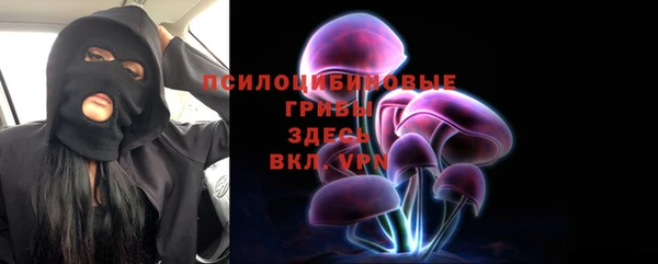 дурь Медногорск