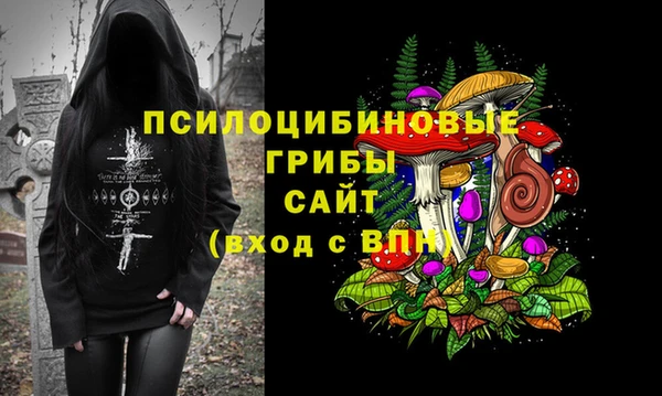 прущая мука Магас